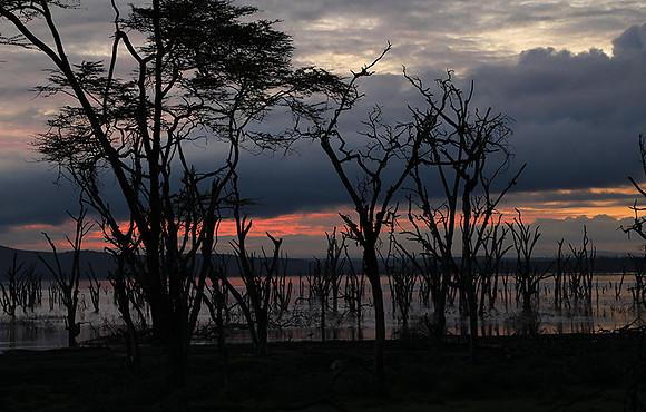 Lake Nakuru - sunrise