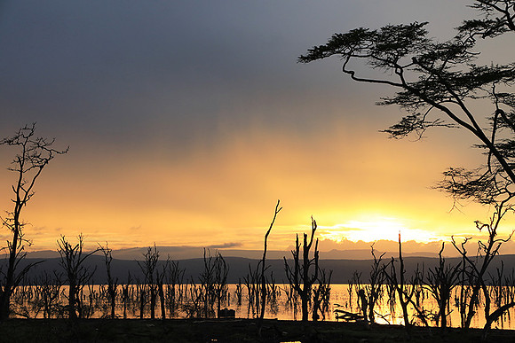 Lake Nakuru - sunrise