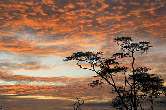 Lake Nakuru - sunrise