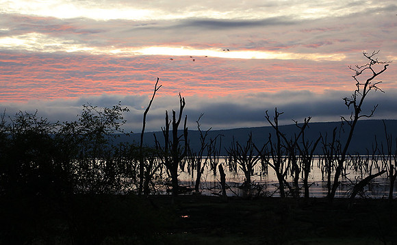 Lake Nakuru - sunrise