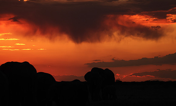 Sunset - Nxai Pan