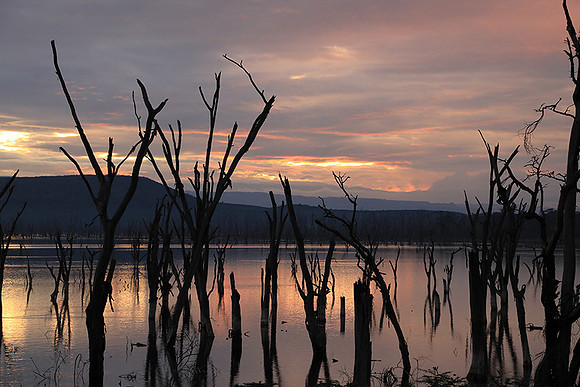 Lake Nakuru - sunrise