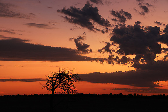 Sunrise - Nxai Pan