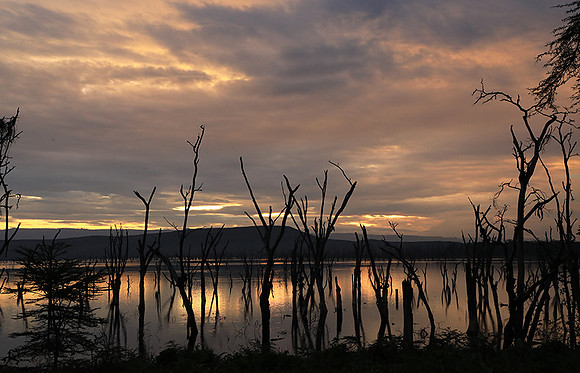Lake Nakuru - sunrise
