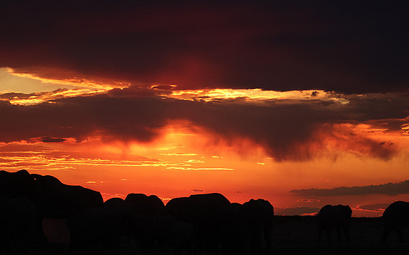 Sunset - Nxai Pan
