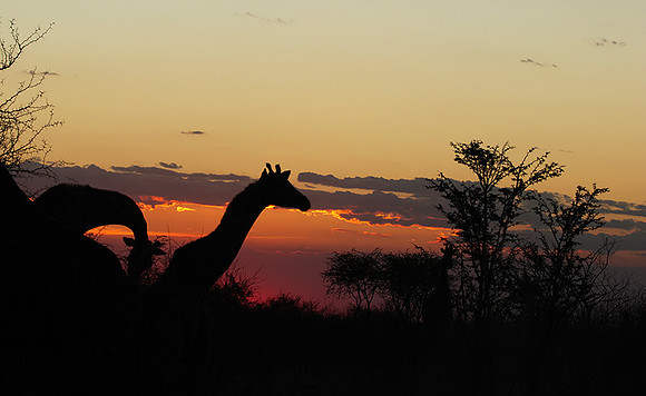 Sunset - Tau Pan