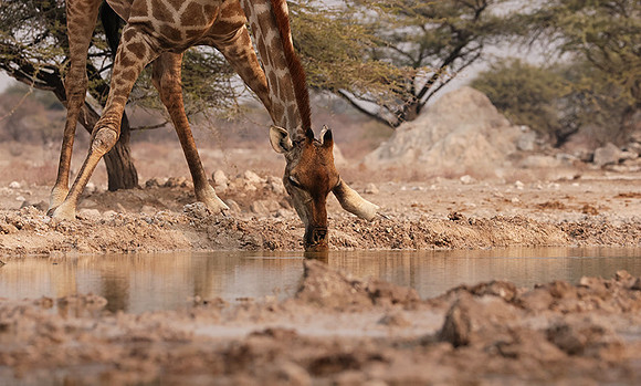Onguma Private Reserve