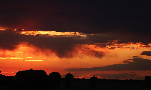 Sunset - Nxai Pan