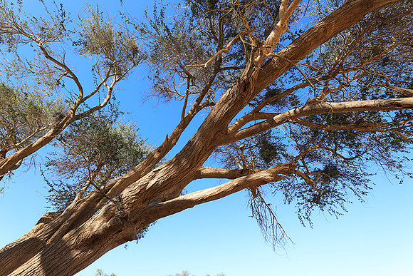 Damaraland