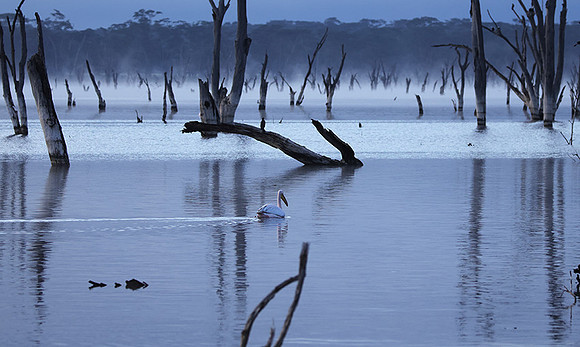 Lake Nakuru