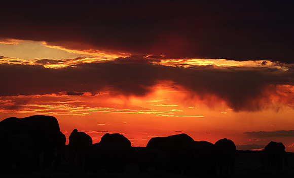 Sunset - Nxai Pan