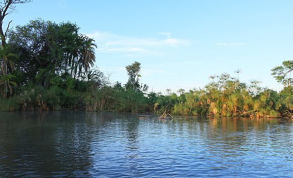 Delta of Okavango