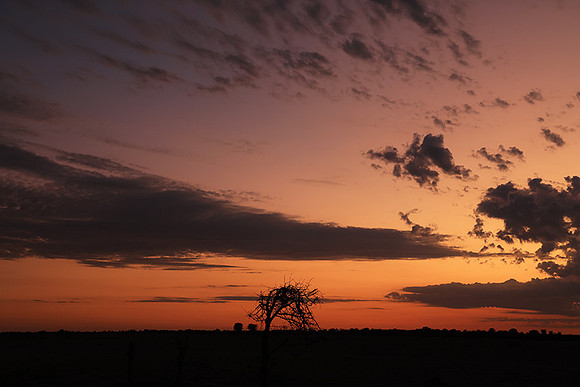 Sunrise - Nxai Pan