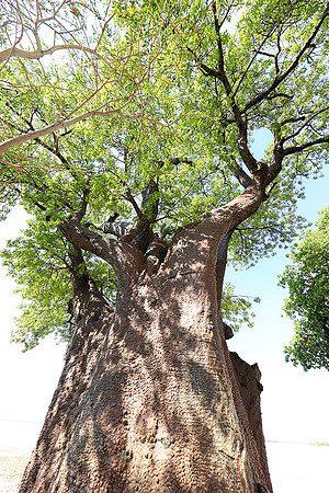 Botswana