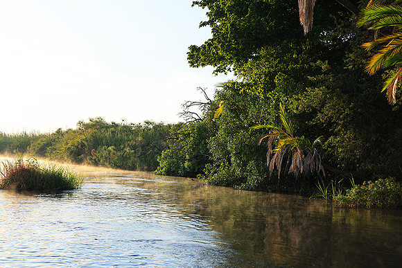 Delta of Okavango