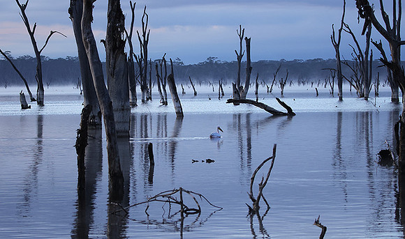 Lake Nakuru
