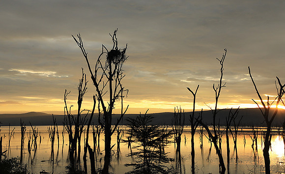 Lake Nakuru - sunrise
