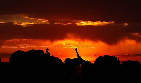 Sunset - Nxai Pan