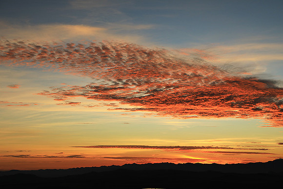 Sunrise Borana