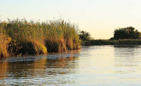 Delta of Okavango