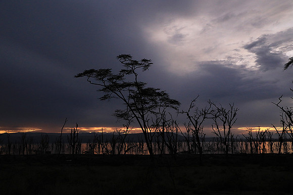 Lake Nakuru - sunrise