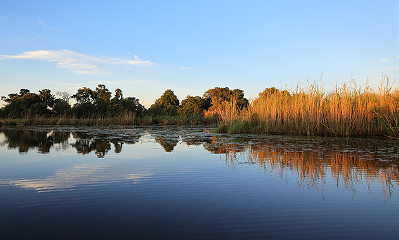 Delta of Okavango