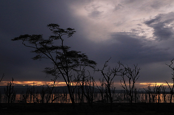 Lake Nakuru - sunrise