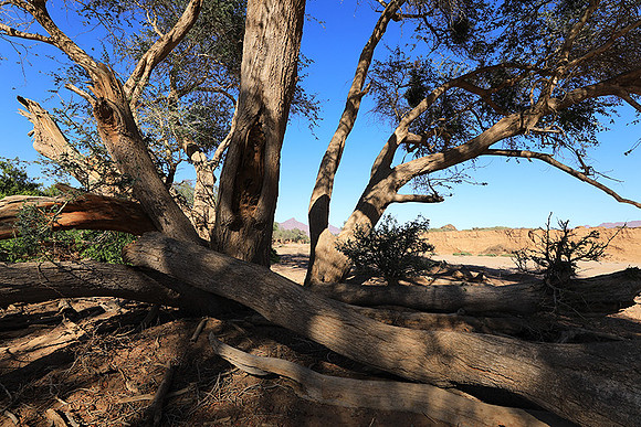 Damaraland