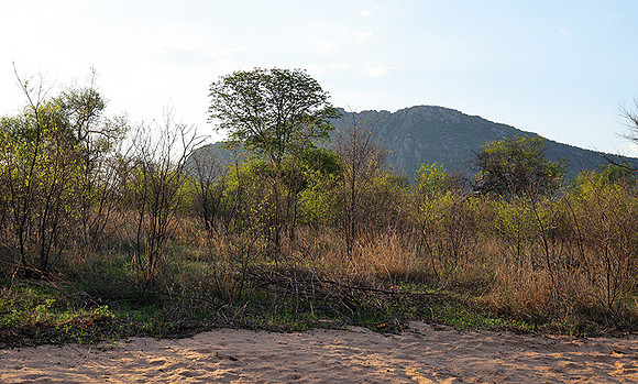 Delta of Okavango