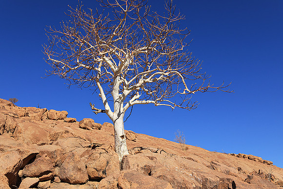 Damaraland