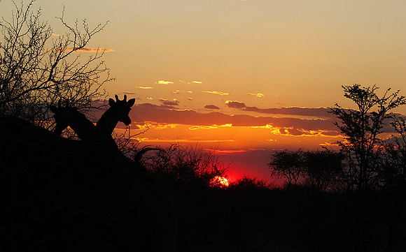 Sunset - Tau Pan