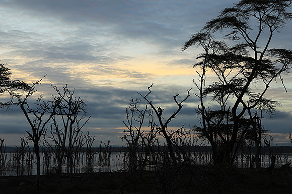 Lake Nakuru - sunrise