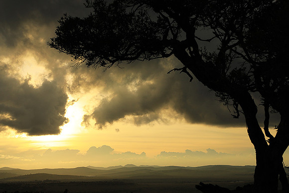 Sunset - Borana