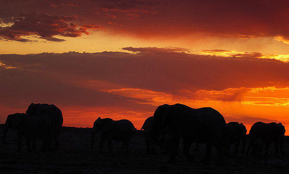Sunset - Nxai Pan