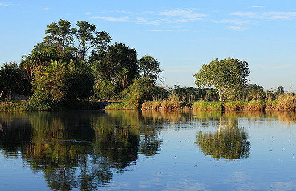 Delta of Okavango