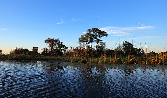 Delta of Okavango