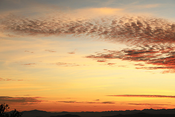 Sunrise Borana