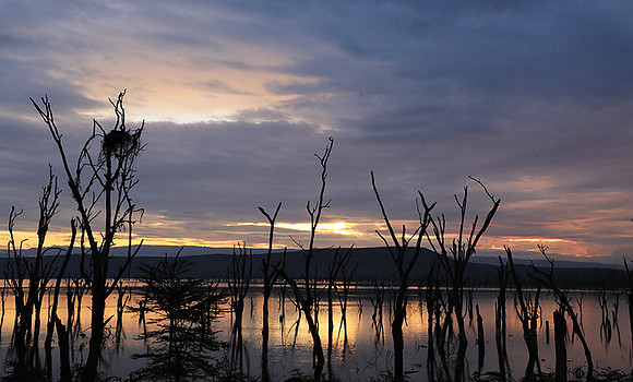 Lake Nakuru - sunrise