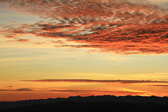 Sunrise Borana