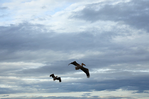 Lake Nakuru