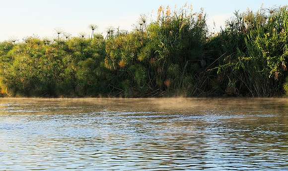 Delta of Okavango