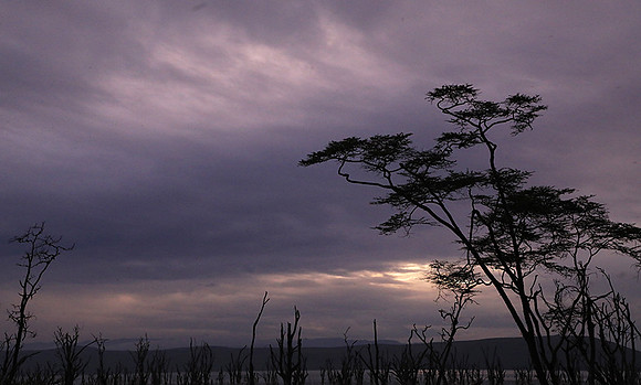 Lake Nakuru - sunrise