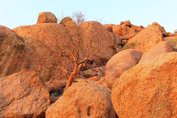 Damaraland