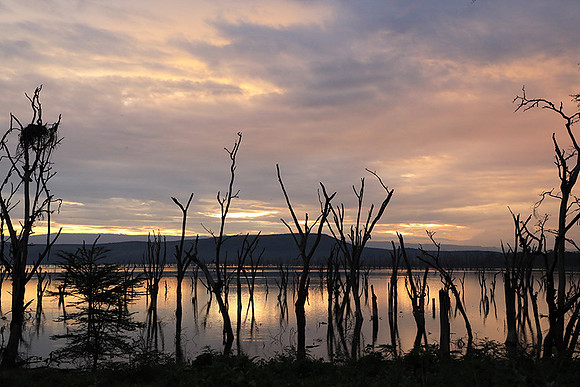 Lake Nakuru - sunrise