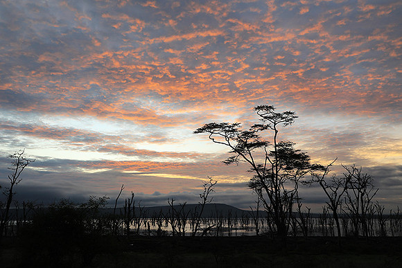 Lake Nakuru - sunrise