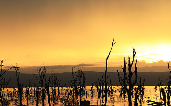 Lake Nakuru - sunrise