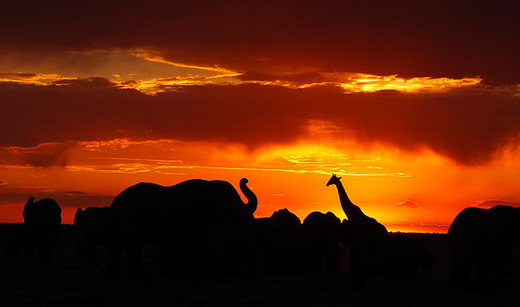 Sunset - Nxai Pan