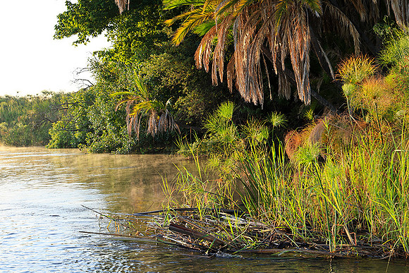 Delta of Okavango