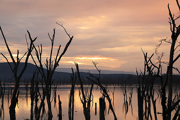 Lake Nakuru - sunrise