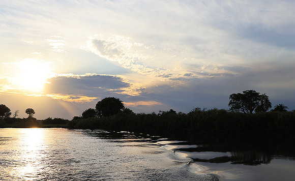 Sunset - Delta of Okavango